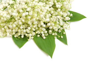 Similar image 104303