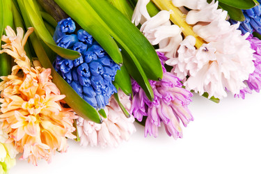 Similar image 104355