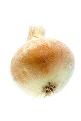 Similar image 104373