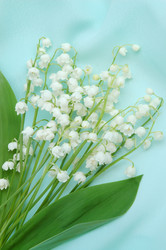 Similar image 104467