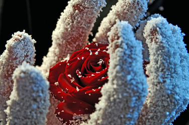 Similar image 104469