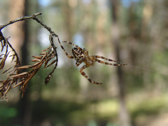 Similar image 104471