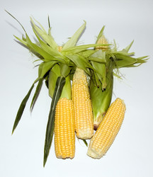 Similar image 104481