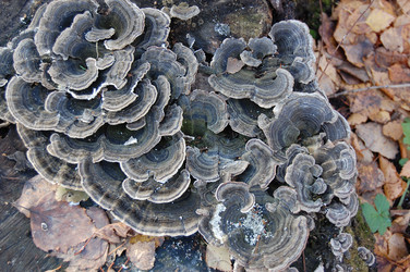 Similar image 104482