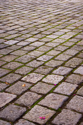 Similar image 104517