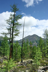 Similar image 104548