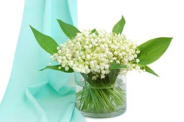 Similar image 104554