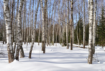 Similar image 104558