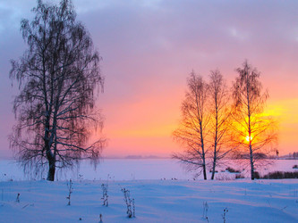 Similar image 104562