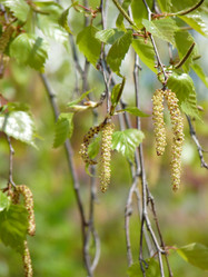 Similar image 104571