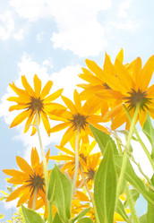 Similar image 104618