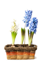 Similar image 104717