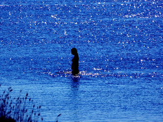 Similar image 104735