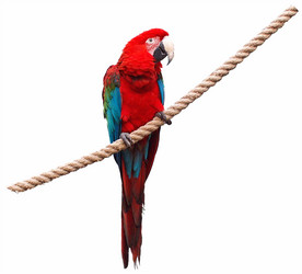 Similar image 104741