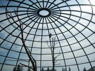 Similar image 104777