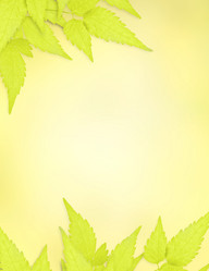 Similar image 104789