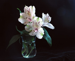 Similar image 104802