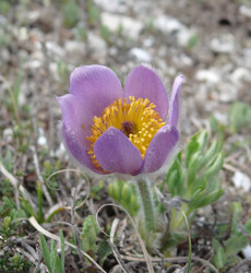 Similar image 104814