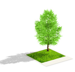 Similar image 104824