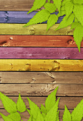 Similar image 104843