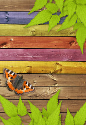 Similar image 104845