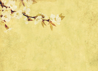 Similar image 104848