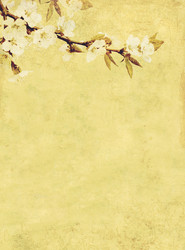 Similar image 104849