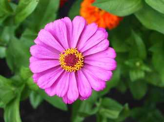 Similar image 104859