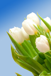 Similar image 104906