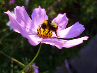 Similar image 104909