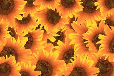 Similar image 104948