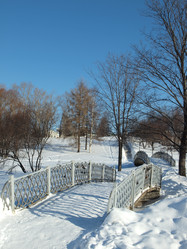 Similar image 104984