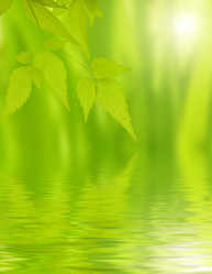 Similar image 104989