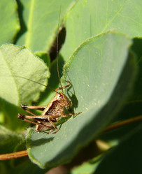 Similar image 105017