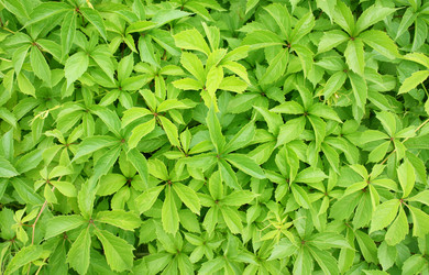 Similar image 105018