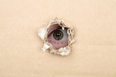 Similar image 105037