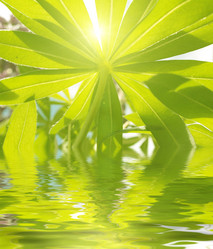 Similar image 105042