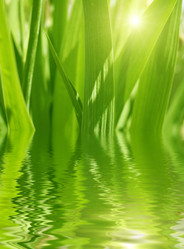 Similar image 105044