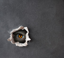 Similar image 105045