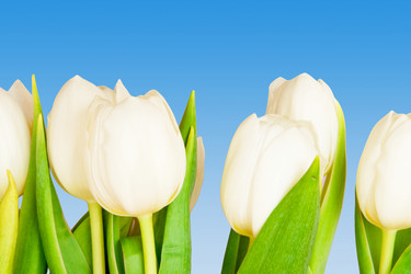 Similar image 105052