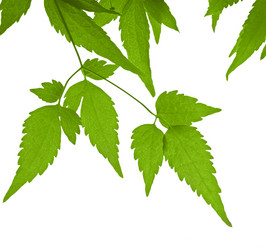 Similar image 105057