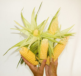 Similar image 105063