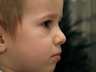 Similar image 105075