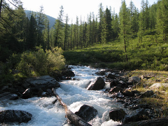 Similar image 105083