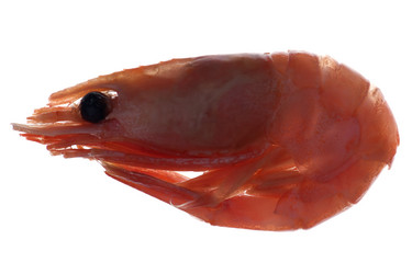 Similar image 105164