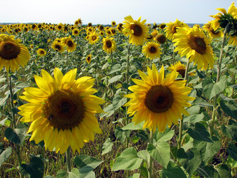 Similar image 105182