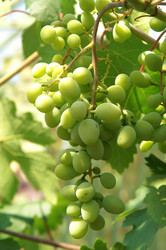 Similar image 105212