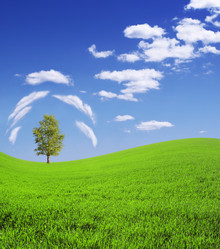 Similar image 105220