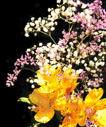 Similar image 105232