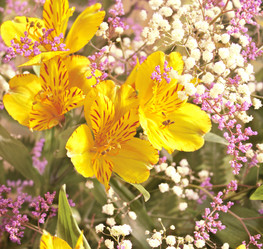 Similar image 105233